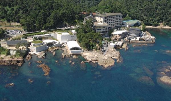 🐠 키노사키 마린월드 이미지 1